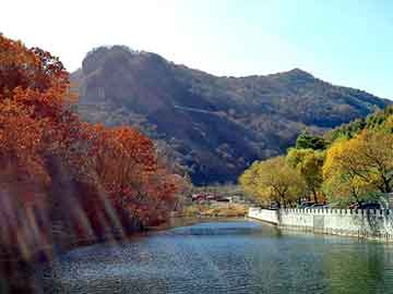 新澳天天开奖资料大全旅游团，泛目录楼